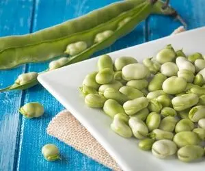 چه کودی برای باقلا مناسب است؟
