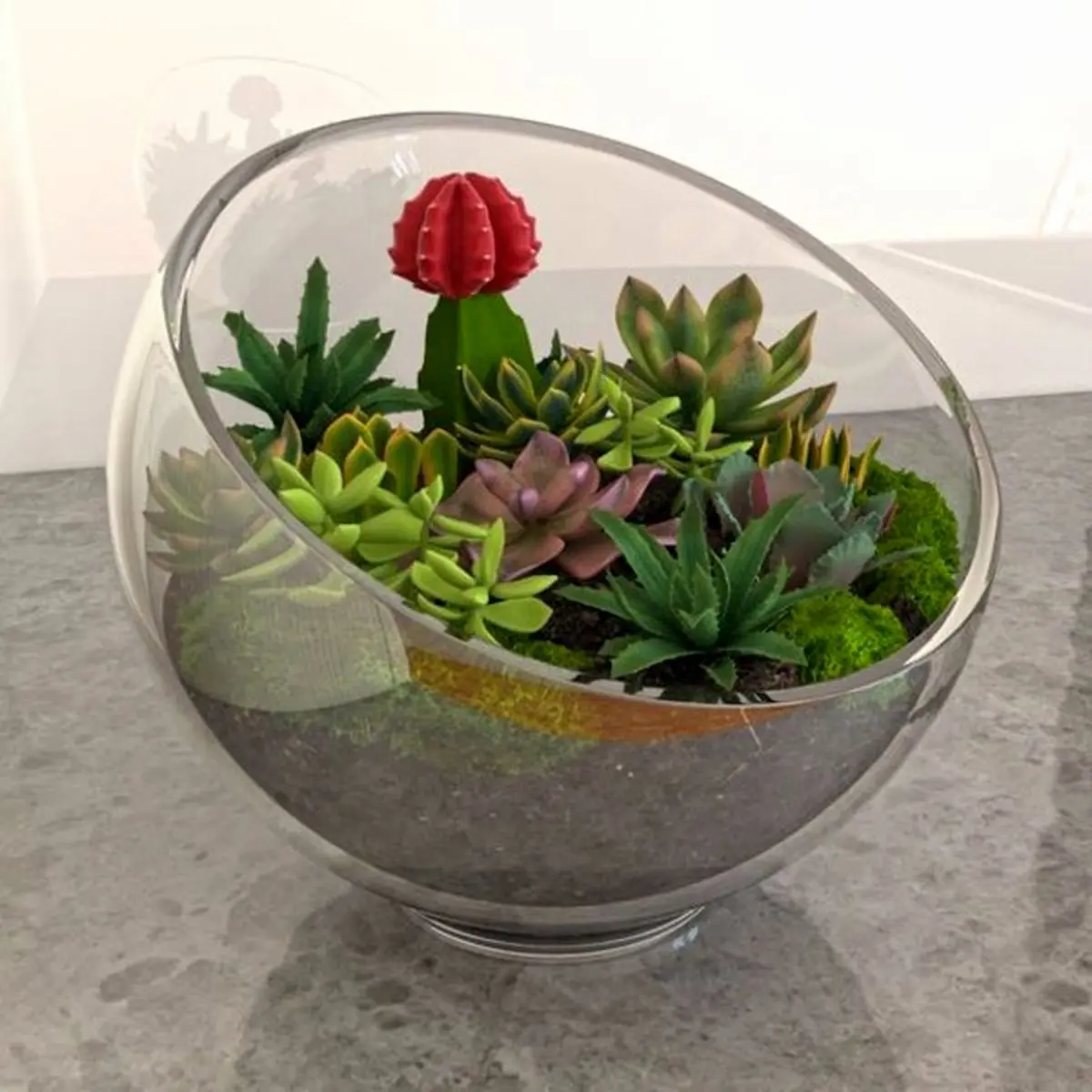 cactus-terrarium-model-20