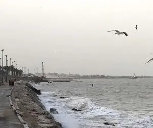 هشدار هواشناسی بوشهر؛ مراقب گرد و غبار فرامنطقه‌ای باشید