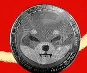 این همه اصرار به خرید شیبااینو چیست؟!