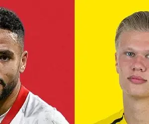 سویا – دورتموند؛ زنبورهای بدون نیش در آندلوس