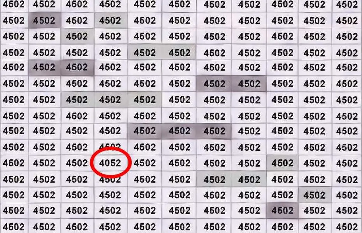 241