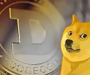 جدیدترین حماسه دوج کوین؟