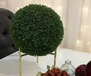 ایده های خلاقانه؛ واسه هفت سین عید یه سبزه پرتقال ساده نذار سبزه توپی خیلی جذاب تره