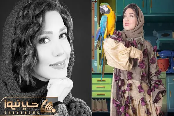 matin sotudeh shayanews