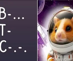 کد مورس همستر کامبت امشب سه شنبه 22 خرداد