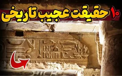 عجایب؛ از مورچه‌ای که زخم انسان رو بخیه میزنه تا خرس ایرانی که شد سرباز ارتش لهستان