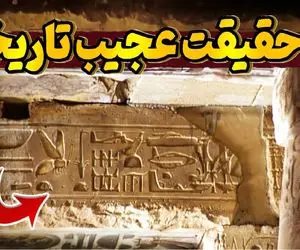 عجایب؛ از مورچه‌ای که زخم انسان رو بخیه میزنه تا خرس ایرانی که شد سرباز ارتش لهستان