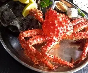 خرچنگ رو جسورانه شکار کردو زنده زنده پخت! آشپزی در طبیعتی که دل شیر میخاد نکن اینکارو!