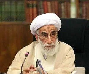 آیت الله جنتی خواستار رفع مشکل اخلال در فرآیند اخذ رأی شد