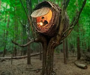 معماری خلاقانه؛ آقاهه وسط جنگل رو ابرا خونه تانکری ساخت نیزه دار ببر نخوردتش