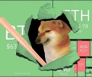 ظهوری جدید از دوج کوین و په په!