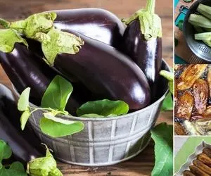 ترفندهای سرخ کردن بادمجان؛ اینجوری عمرا تلخ و چرب و چیلی بشه