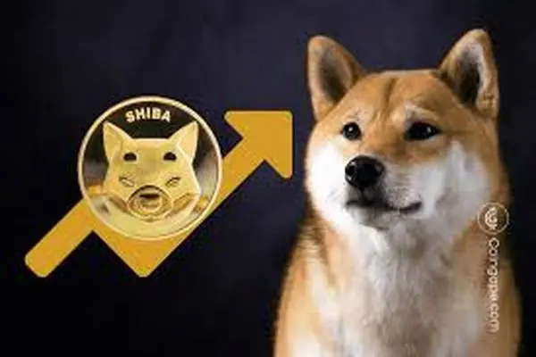 SHIB