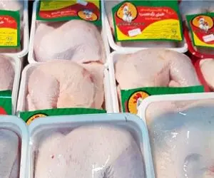 قیمت مرغ امروز شنبه ۲۶ اردیبهشت ۱۴۰۵ + جدول