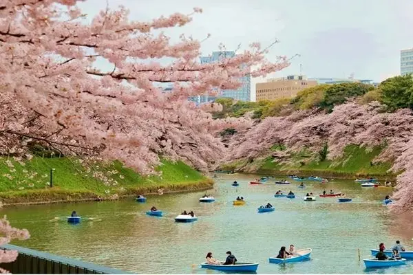 Japan Economic Tour Package Nowruz 1405 | Cheap, Installment and Affordable Travel 