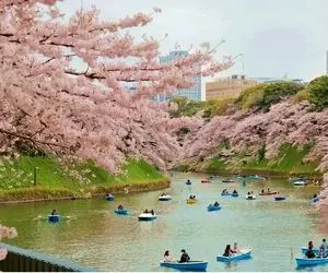 پکیج تور اقتصادی ژاپن نوروز ۱۴۰۵ | سفر ارزان، قسطی و مقرون‌به‌صرفه