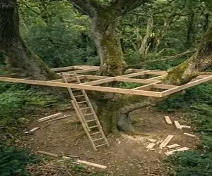 معماری خلاقانه؛ خونه درختی ساخت بالای درخت از برج های امروزی شیک تر و اعیونی تر