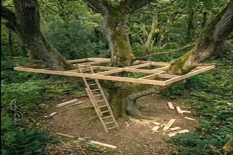 معماری خلاقانه؛ خونه درختی ساخت بالای درخت از برج های امروزی شیک تر و اعیونی تر