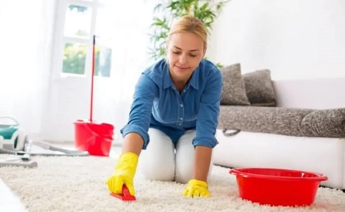 attractive-housewife-cleaning-carpet-brush-doing