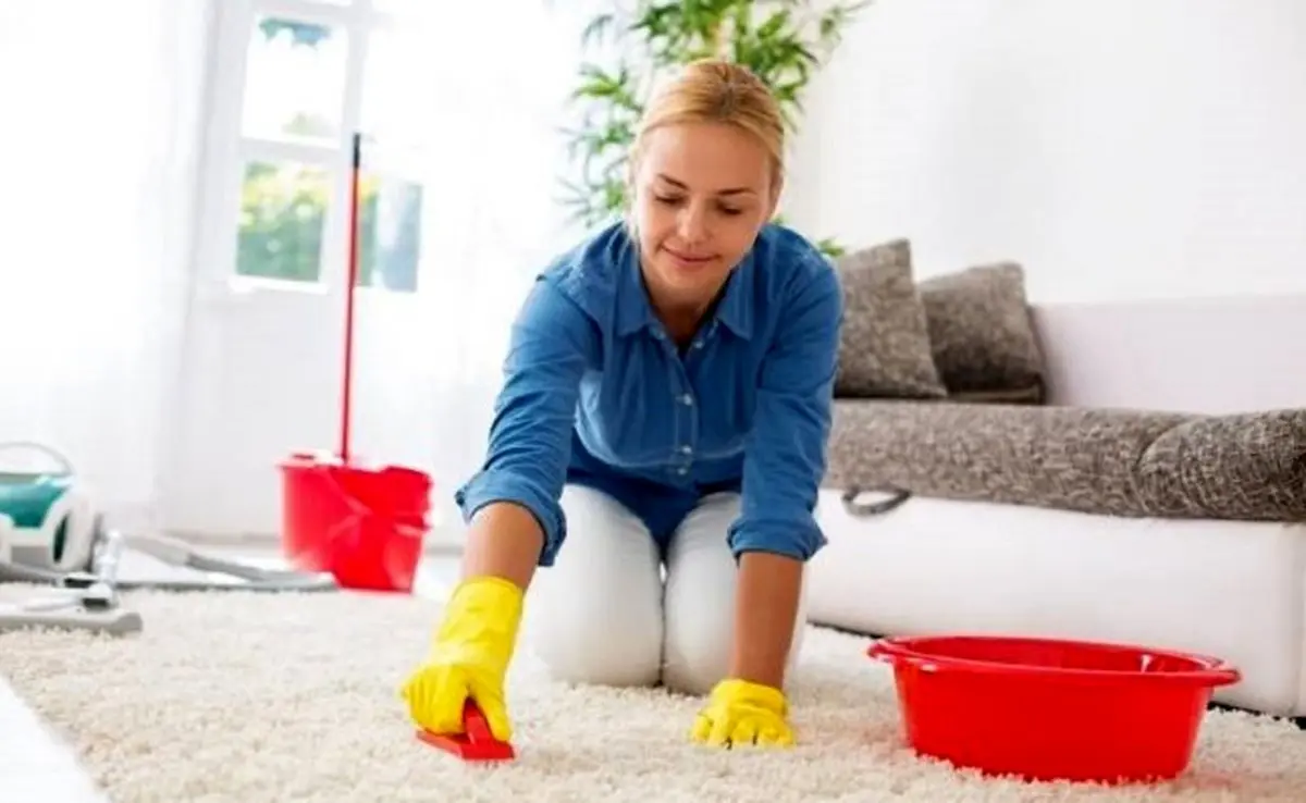 attractive-housewife-cleaning-carpet-brush-doing