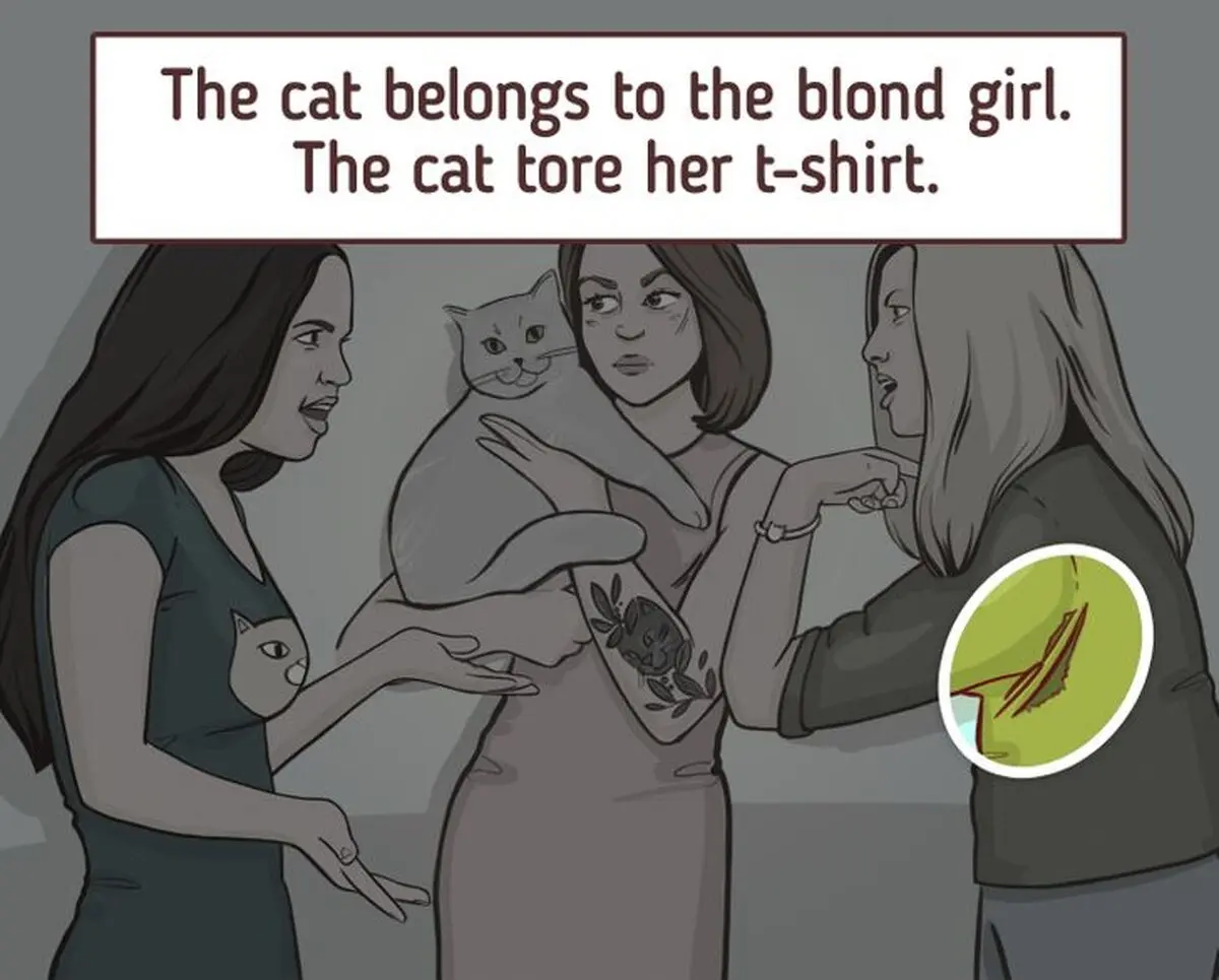WhoistheCatsOwnerBrainTeaserIQTestAnswer