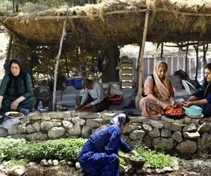 زندگی عشایری؛ پخت متفاوت گوجه بادمجان توسط زنان عشایر کردستان