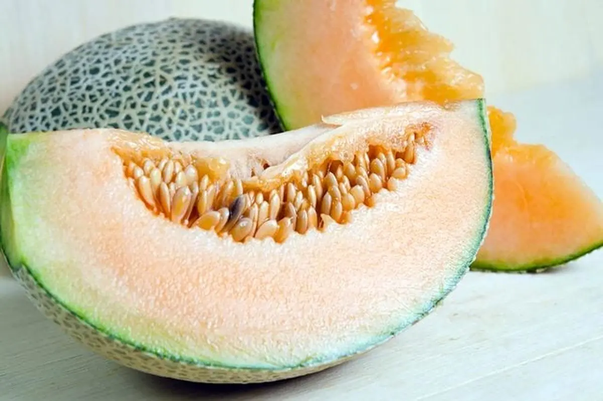 18_Cantaloupe_Can-You-Identify-Everyday-Objects-By-These-Close-Up-Pictures-_453901912_SK-Herb