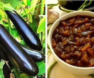طرز تهیه ترشی مخلوط بادمجون / به ساده ترین روش ممکن یه ترشی عالی درست کن