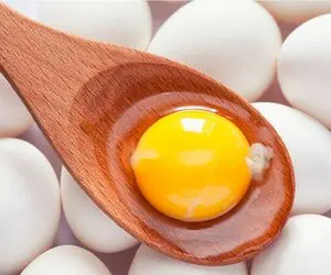قیمت تخم‌مرغ امروز یکشنبه ۲۴ خرداد ۱۴۰۵