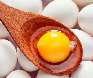 قیمت تخم‌مرغ امروز یکشنبه ۲۴ خرداد ۱۴۰۵