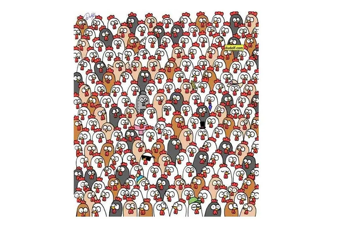 ارزیابی-قدرت-دید-با-شناسایی-جغدها-3-1200x720