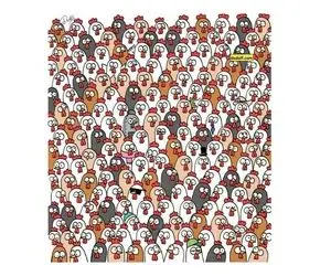 بازی فکری؛ 3 تا جغد پنهان شده بین مرغ هارو فقط دید خلبانی و عقبانی میتونه پیدا کنه