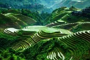 کشاورزی نوین؛ چینی ها اینطوری رو کوه مزرعه میسازن دیوار کشیشون عالیه چطور مصالح میبرن