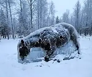 معماری طبیعت؛ اسب تو برف یخ زده سمباده میکشه چکش کاری میکنه دوباره زنده میشه
