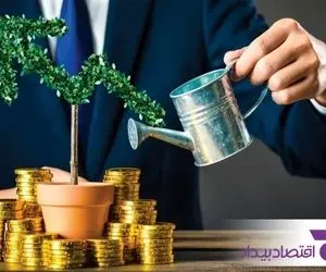 بهترین راهکارهای سرمایه گذاری در بورس با سبدگردانی اقتصاد بیدار