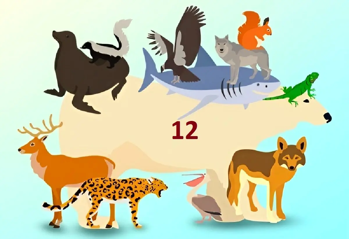 پاسخ-تست-هوش-تمام-حیوانات-پنهان-شده