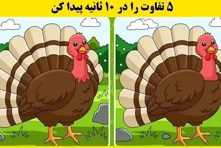 بازی فکری؛ شما فقط 10 ثانیه فرصت دارید تا 5 تفاوت میان دو تصویر را پیدا کنید؟