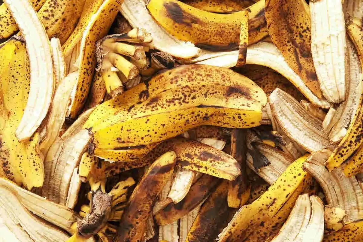 خاک تقویتی 1