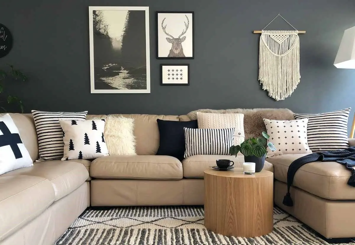 cushions2