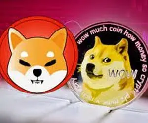 آیا امیدی به شیبااینو ودوج کوین هست؟
