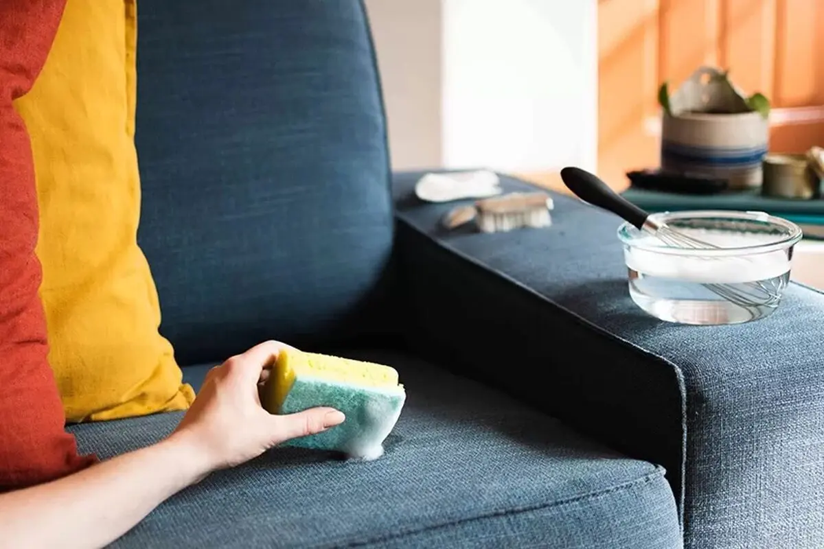 Cleaning-the-sofa-5