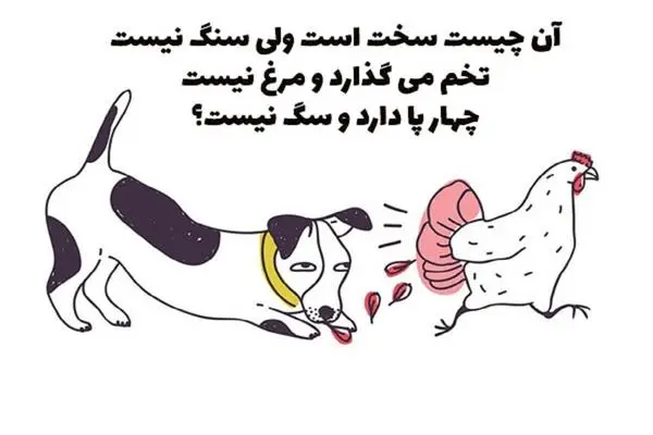 چیستان فکری؛ سفته؛ اما سنگ نیست؛ تخم می‌گذاره اما مرغ نیست و 4 پا دارد اما سگ نیست؟