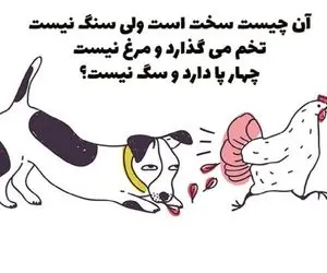 چیستان فکری؛ سفته؛ اما سنگ نیست؛ تخم می‌گذاره اما مرغ نیست و 4 پا دارد اما سگ نیست؟