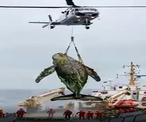 مستند کاوش؛ استفاده از تجهیزات فوق پیشرفته و نیروی 1000نفری برای کارواش وال 200تنی