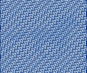 تست هوش تصویری با جواب؛ اگه رَنک اول باهوشای کائنات خودتی حیوان تو عکس رو حدس بزن!