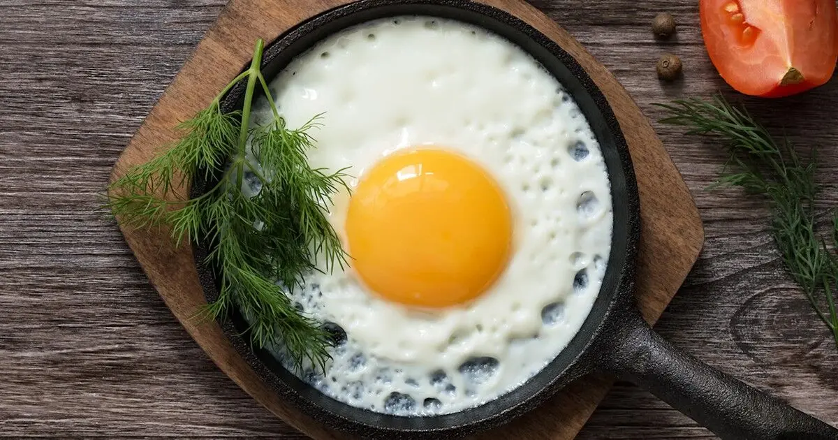Egg