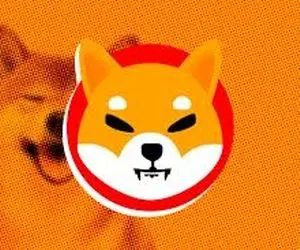 چندقدم تاانفجار شیبااینو؟!