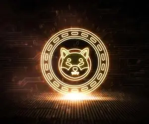 پیش بینی مهم از نسخه ها ی آینده شیبااینو!