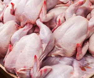 قیمت گوشت مرغ گرم امروز یکشنبه 7 دی 99